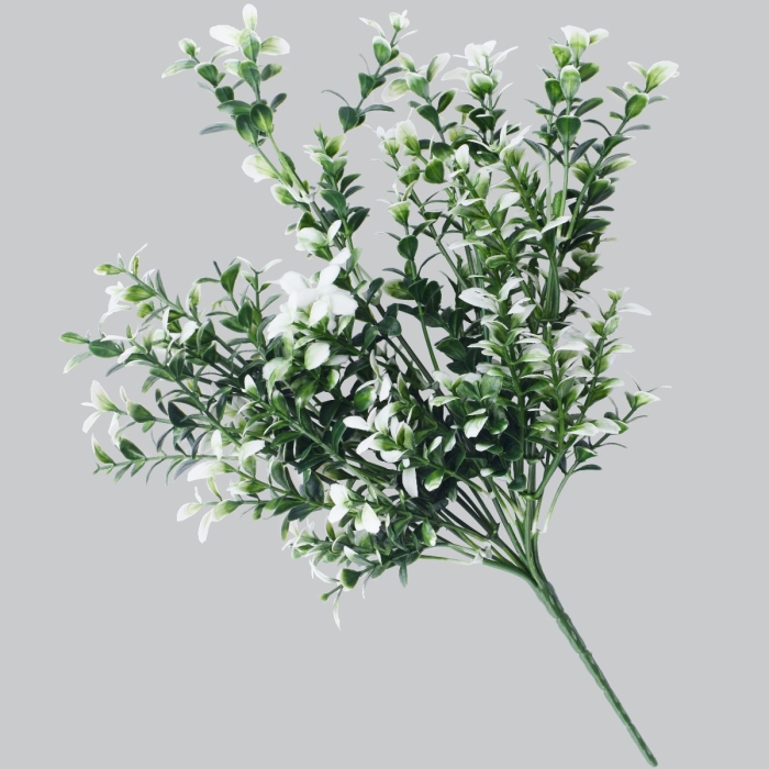 White Tipped Money Leaf Stem 32 cm - Image 2