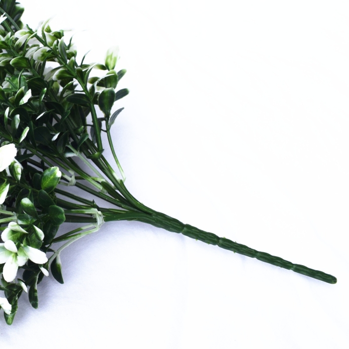 White Tipped Money Leaf Stem 32 cm - Image 4
