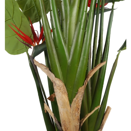Birds of Paradise Plant 130 cm - Image 2