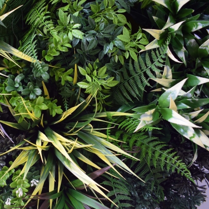 UV Green Fields Green Wall Disc (Black) 60cm - Image 3