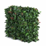 Portable UV Artificial Hedge Plant Photinia 75cm X 75cm