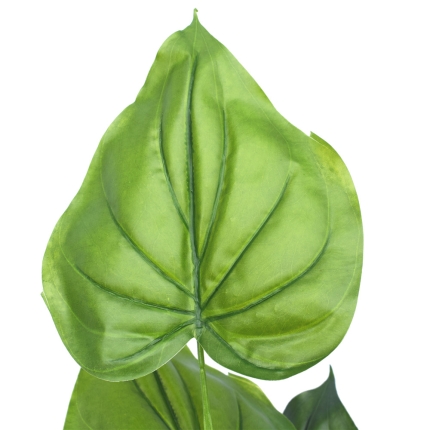 Taro Plant 150cm - Image 2