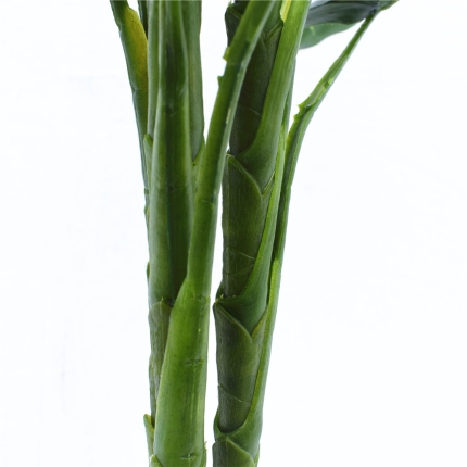 Taro Plant 150cm - Image 4