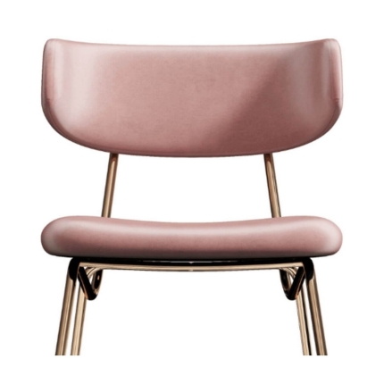 Kylie Modern Blush Dining Chair with Gold Legs Set of 2 - Image 4