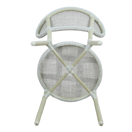 Skyler Style-savvy Outdoor Dining Chair Set of Two Natural - Image 5